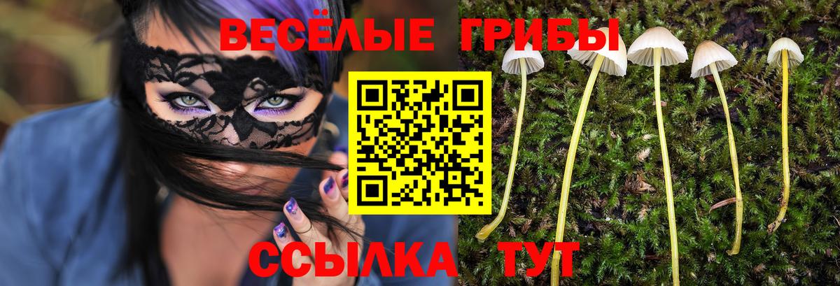 Псилоцибиновые грибы Psilocybe  где продают   Саратов  Вход с VPN 